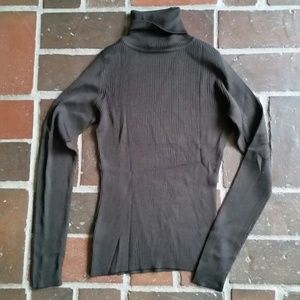 Ann Taylor Knit Silk Turtleneck